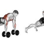 Dumbbell renegade row exercise