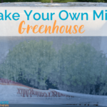 Make Your Own Mini Greenhouse