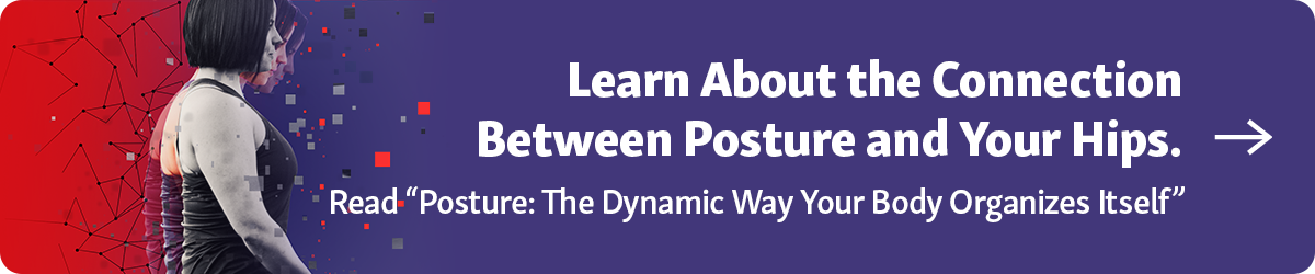 Learn about the Connection Between Posture and Your Hips in our article "Posture: The Dynamic Way Your Body Organizes Itself"