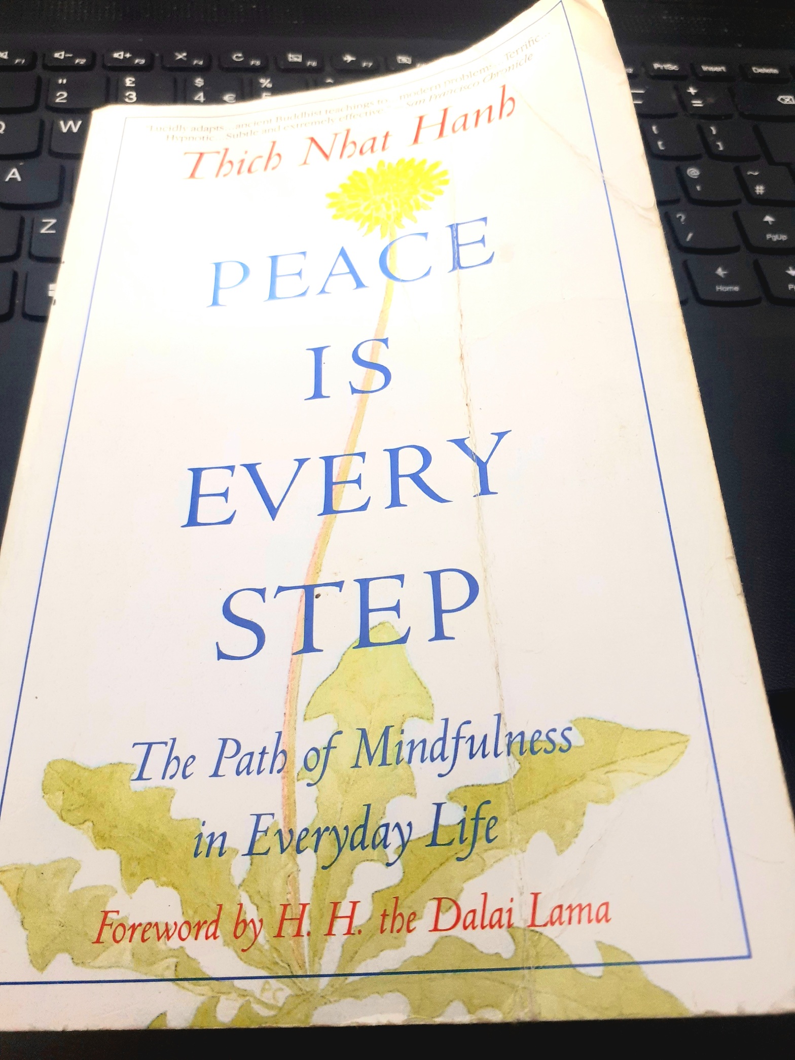 Book Review of ‘Peace is Every Step’by Thich Nhat Hanh – carolinerainsford