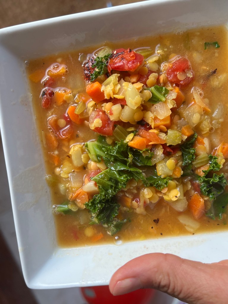 4 Week Gut Protocol Recipe: 5 Minute Lentil & Veggie Curry Soup (Red B Container!)