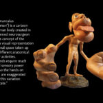 Sensory Homunculus with description of exaggerated sensory sensations in hands, lips, and tongue
