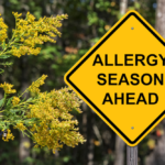 Allergy Season Is Here