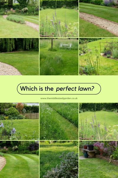 Which is the perfect lawn?