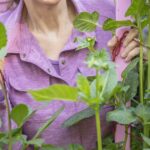WashingtonGardener: GardenDC Podcast Episode 111: Flower Combinations