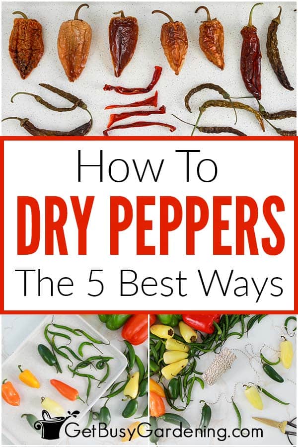 How To Dry Peppers The 5 Best Ways