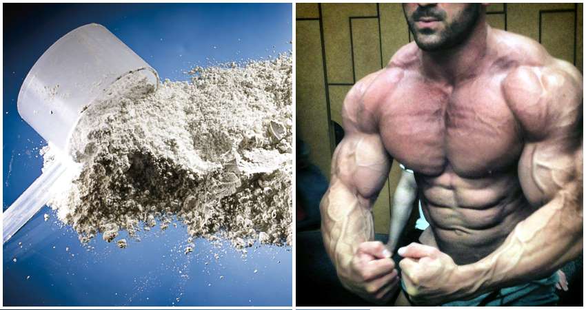 How to Harness the Anabolic Power of Glutamine
