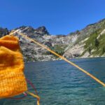 July Knit Dispatch - Tributary Yarns & This Knitted Life