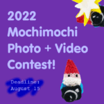 Announcing the 2022 Mochimochi Photo + Video Contest – Mochimochi Land