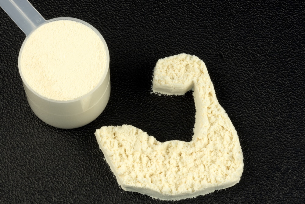 Best Protein Powder for Weight Loss: Top 7 Supplements Ranked