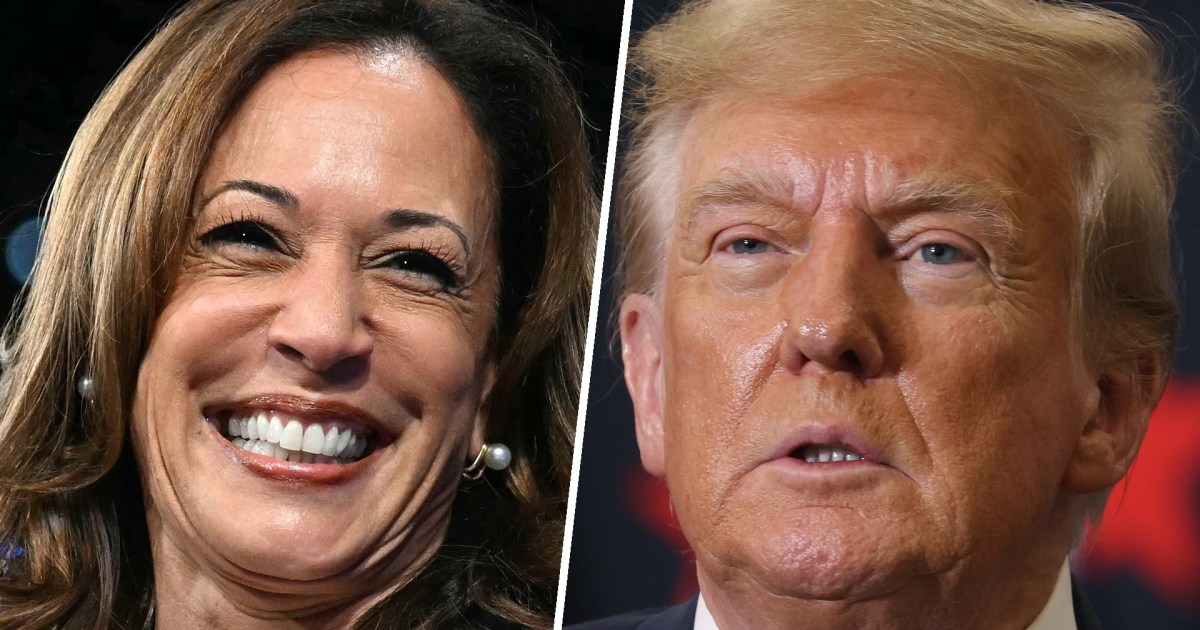  Trump and Harris make their cases in swing states