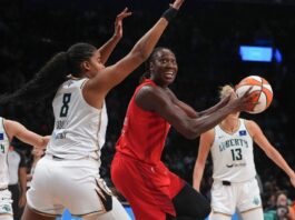 Tina Charles sets 2 records as Dream clinch final playoff spot