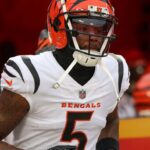 Bengals WR Tee Higgins (hamstring) plans to return for MNF