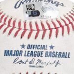 Shohei Ohtani's historic 50/50 home run ball to be auctioned