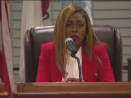 Judge temporarily blocks Tiffany Henyard's appointments, rules board approval required