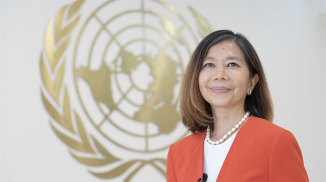 Việt Nam adds voice, leadership to critical discussions on climate change: UN Resident Coordinator