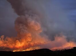 Man accused of igniting Bucktail Wildfire while cremating pet dog