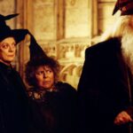 Dumbledore Actor's Son Questions HBO TV Reboot: 'Why Do It?'