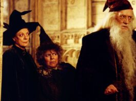 Dumbledore Actor's Son Questions HBO TV Reboot: 'Why Do It?'