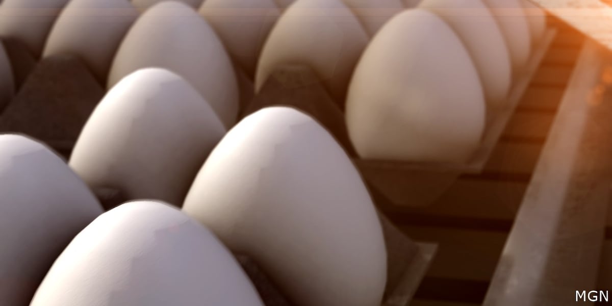 DHS identifies Salmonella infections linked to Milo’s Poultry Farms recalled eggs