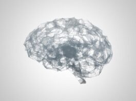 3D digital illustration showing a network of connected lines and dots creating a form like a human brain.