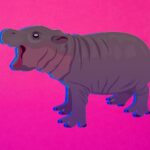 Web3 Watch: Hippo-themed ‘Moo Deng’ memecoin soars to $255M market cap