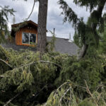 Tornado reported in Christian Valley as storm packs 'devastating' punch - Kelowna News