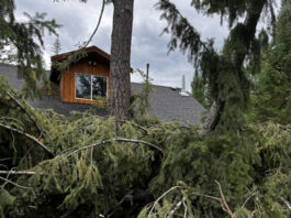 Tornado reported in Christian Valley as storm packs 'devastating' punch - Kelowna News