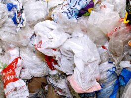 Gov. Gavin Newsom signs California plastic bag ban into law