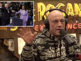 Rogan blasts Kamala Harris, Tim Walz on First Amendment